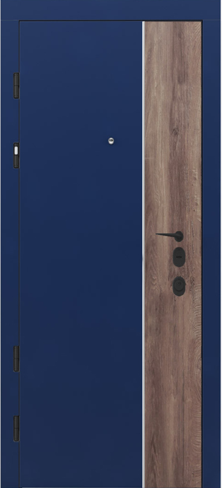 Вхідні двері Rodos Premium PRZ002