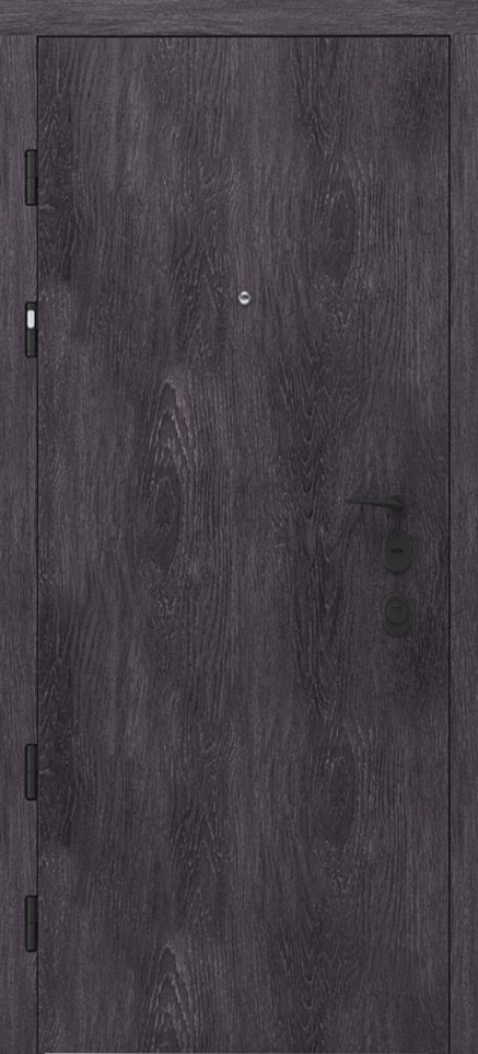 Вхідні двері Rodos Premium PRZ001