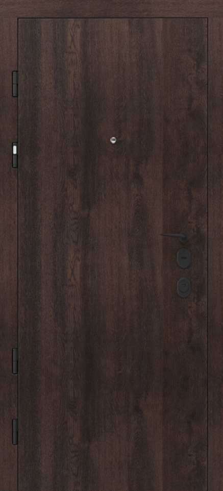 Вхідні двері Rodos Premium PRZ001