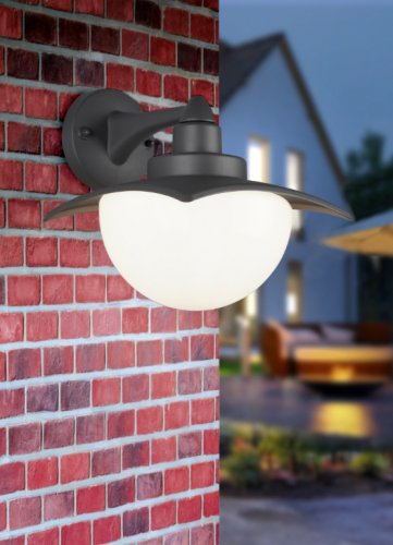 Вуличний настінний світильник TRIO DONEZ 204960142 alt 1