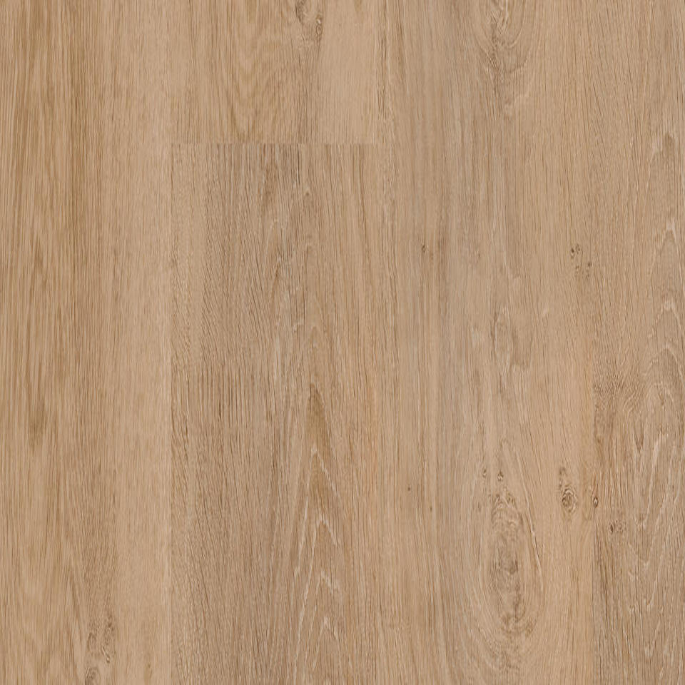 Вінілова підлога Tarkett PROGRESSIVE HOUSE DARIN 277007004 Світлий