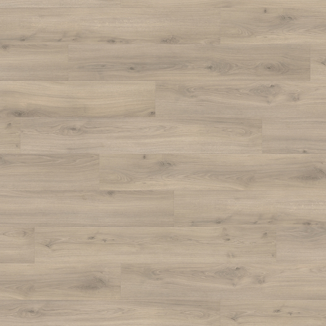 Ламінат Haro Tritty 100 Дуб Емілія оксамит сірий 538695 alt 1