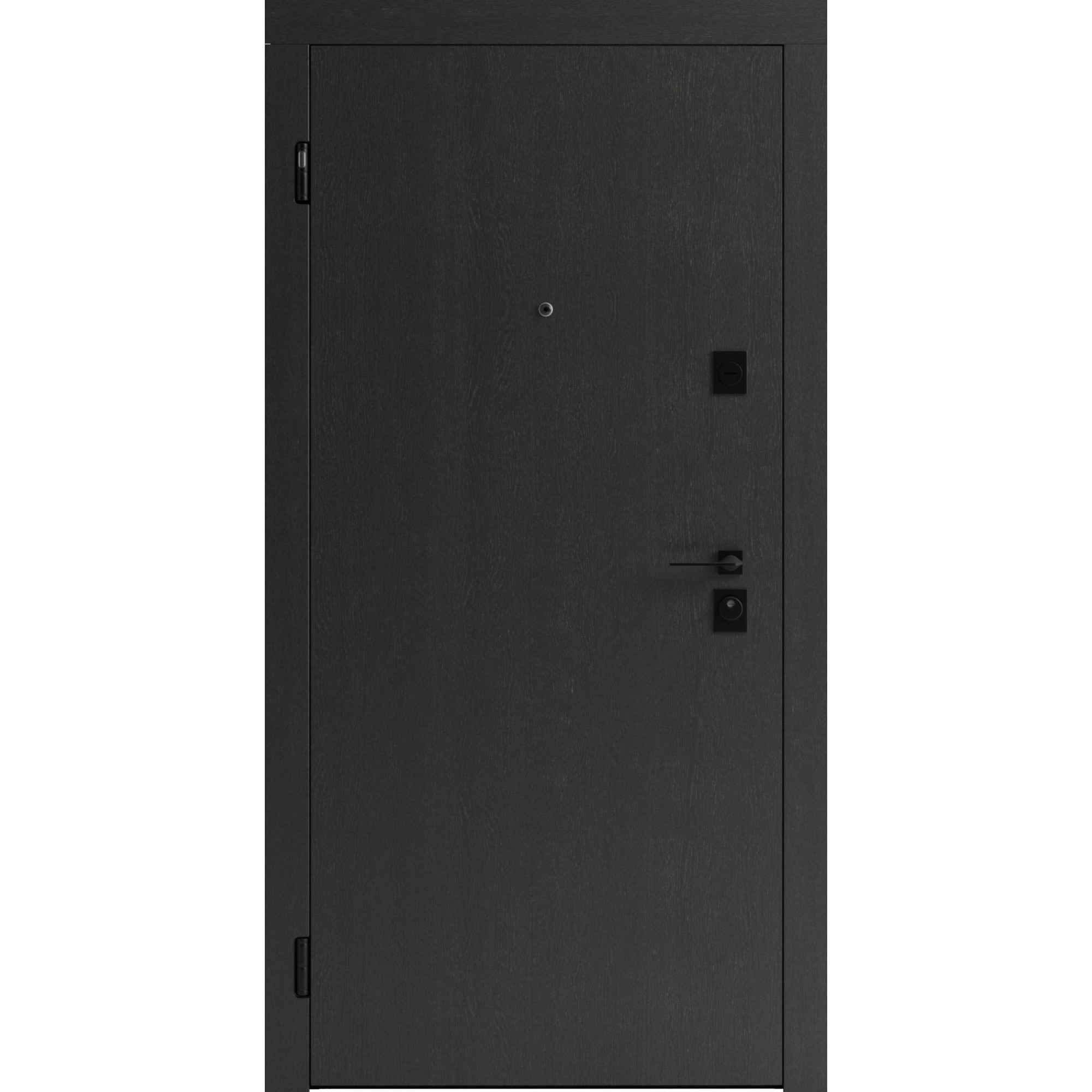 Вхідні двері Rodos Line F100
