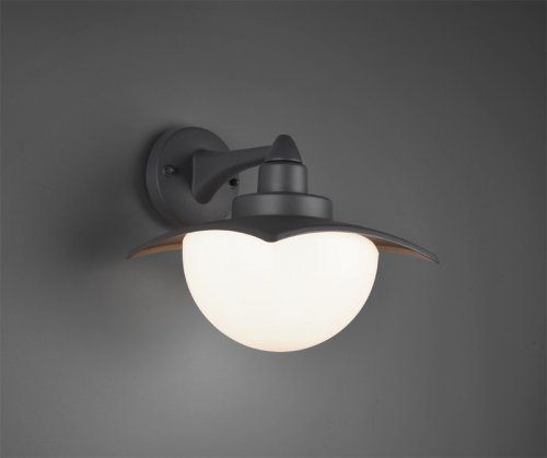 Вуличний настінний світильник TRIO DONEZ 204960142 alt 2