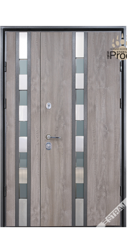 Вхідні двері PF Standard Securemme Riva SL Double