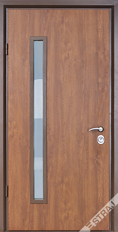 Вхідні двері Страж Standard SDW Ріо Р