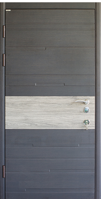 Вхідні двері Conex Статус Модель 48